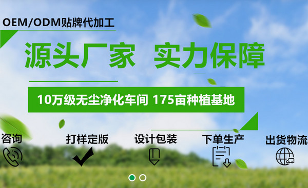 陜西某食品代加工OEM企業(yè)優(yōu)化型網(wǎng)站建設(shè)案例