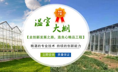 山東**泰溫室大棚生產(chǎn)廠家與我司簽訂網(wǎng)站建設(shè)SEO優(yōu)化推廣協(xié)議